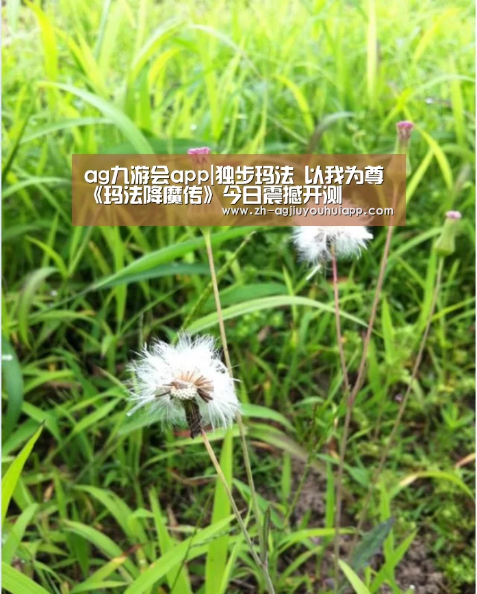 ag九游会app|独步玛法 以我为尊 《玛法降魔传》今日震撼开测
