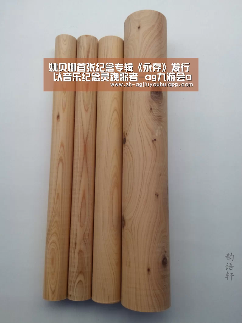 姚贝娜首张纪念专辑《永存》发行  以音乐纪念灵魂歌者-ag九游会app